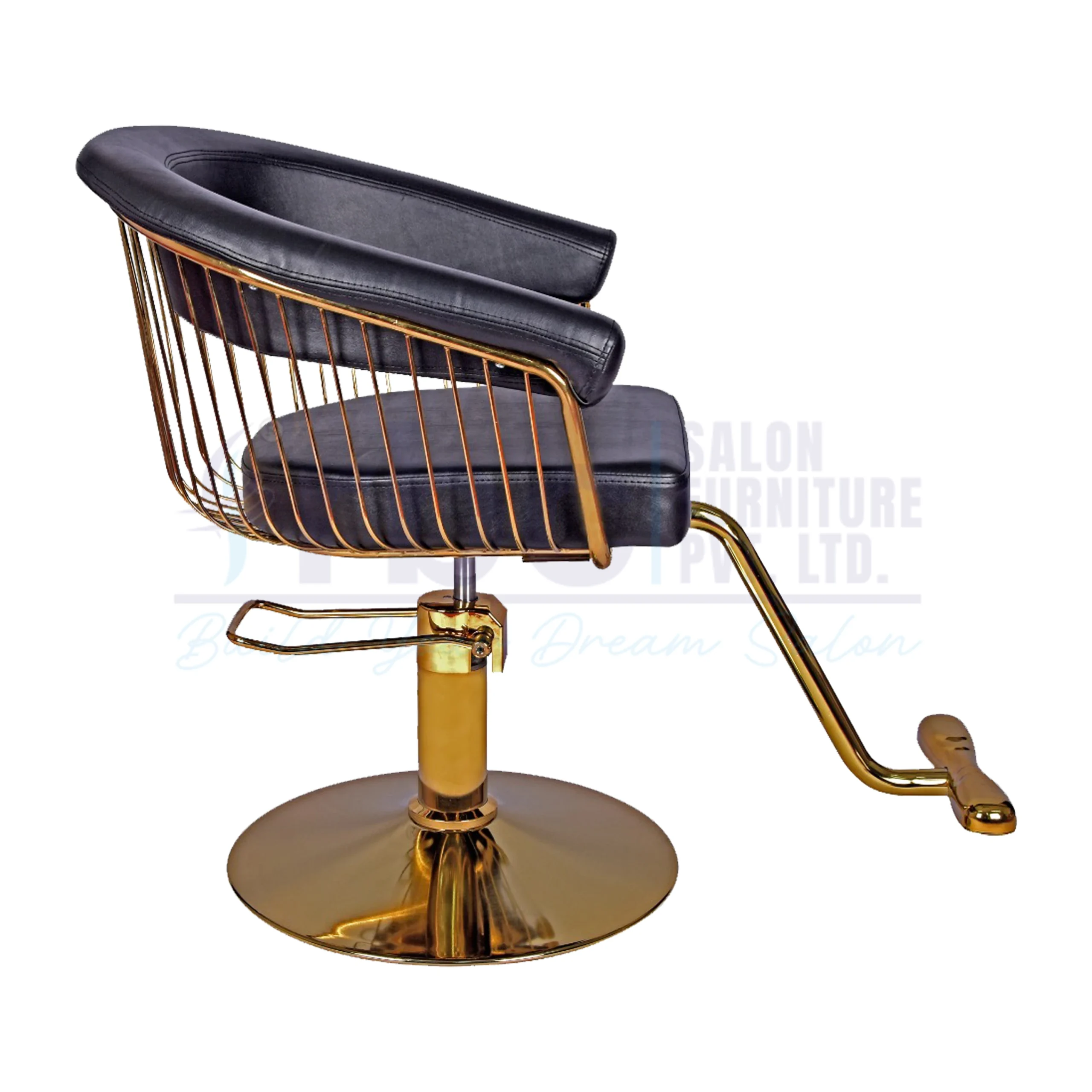 RBC 419 Luxury Hydraulic Salon Styling Chair in Black Leatherette Seat with Gold Wire Cage Backrest, Gold Footrest, and Round Gold Base
