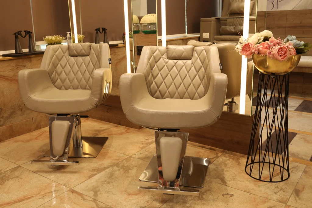Luxury Salon Chair